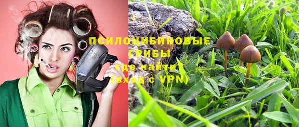 spice Алзамай