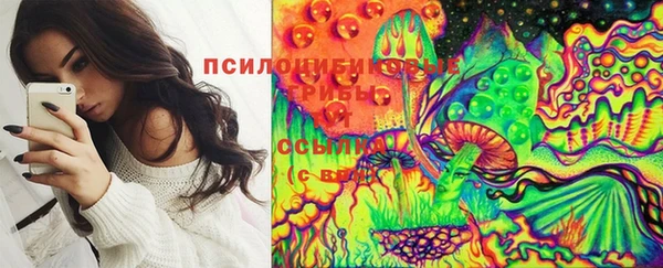стафф Алексин