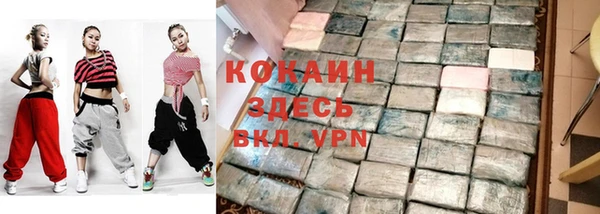стафф Алексин